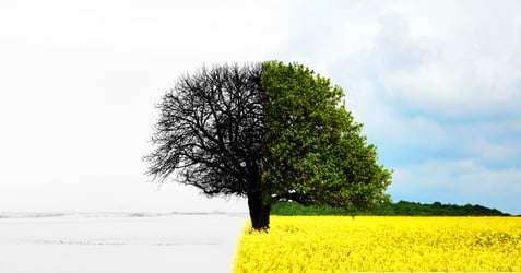 cost of printing in color vs black and white