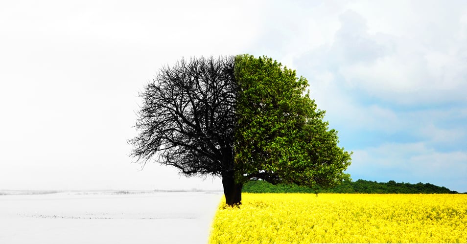 cost of printing in color vs black and white